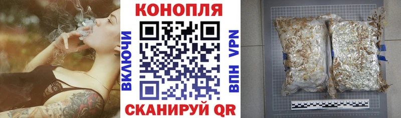 Виды наркотиков купить Ртищево Бошки Шишки A PVP Кодеин Мефедрон