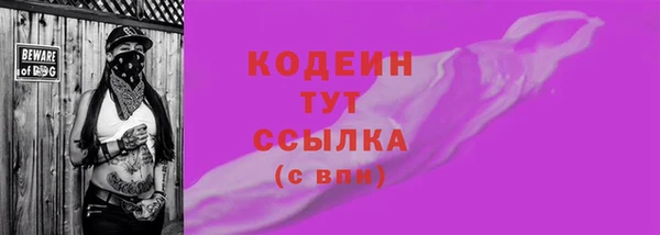 молекула духа Новодвинск