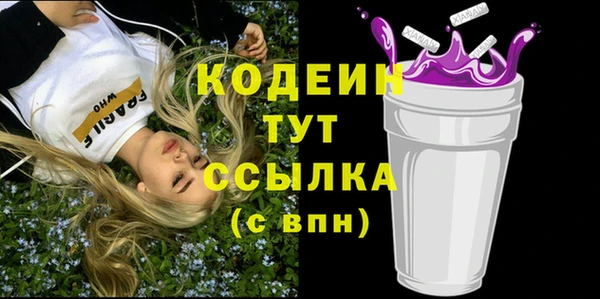молекула духа Новодвинск