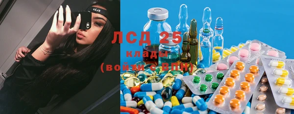 молекула духа Новодвинск