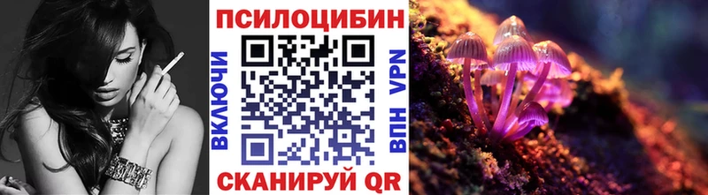купить наркотик  мориарти клад  Псилоцибиновые грибы MAGIC MUSHROOMS  Ртищево 