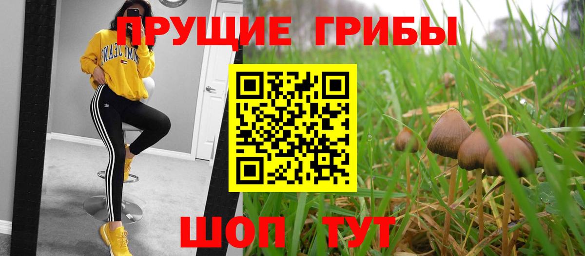 Псилоцибиновые грибы Psilocybine cubensis Ртищево